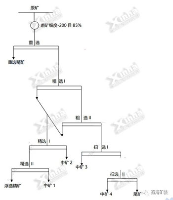 玻利维亚1000TPD铜矿选矿项目